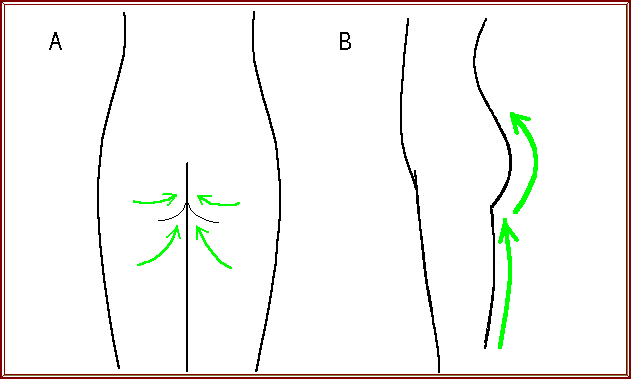 Image(Hips)