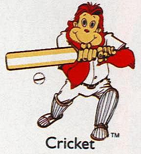 cricket