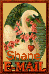 shaneemail.gif - 13991 Bytes