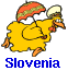 Slovenian Resources