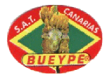 Bueype (1)