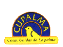 Cupalma N 2