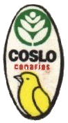 Coslo N 1