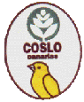 Coslo N 2