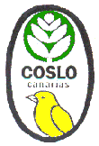 Coslo 3