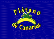 Serie Basica Platano de Canarias