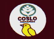 Coslo Canarias