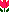 tulipsmall.gif (254 bytes)