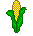 corn-i.gif