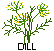 dill.gif