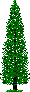 pine3.gif