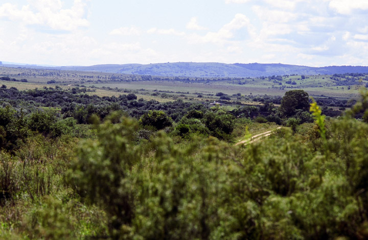 Cerro Largo 