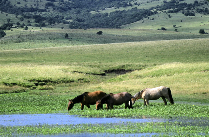 Cerro Largo 