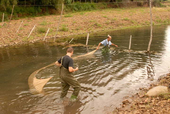 Seining Arroyo Rubio Chico