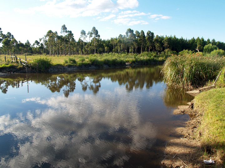 Arroyo Sarandi