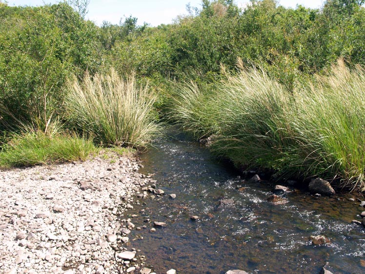 Arroyo Tres Cruces