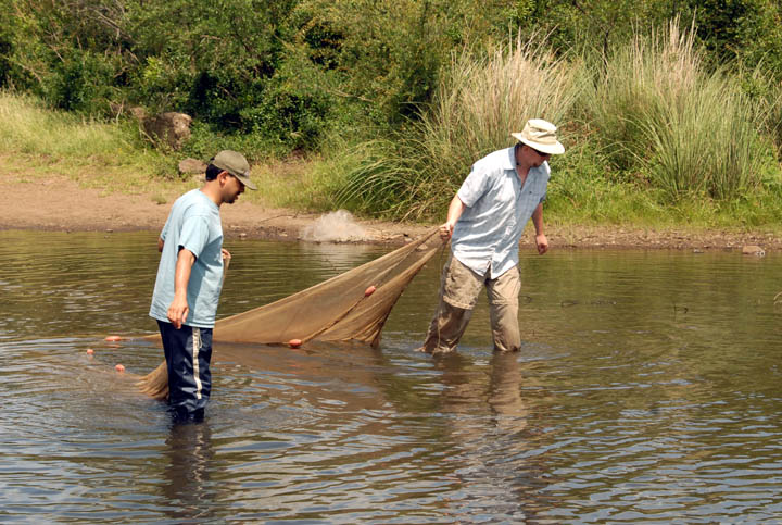 Arroyo Tres Cruces