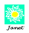 Janet's daisy