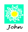 John's daisy