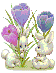 flower bunnies