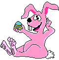 goody bunny