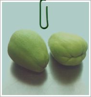 Chayote Squash