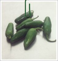 Jalapeño Chile