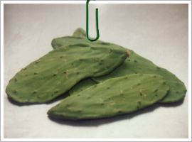 Nopales