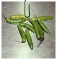 Serrano Chile