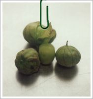 Tomatillo