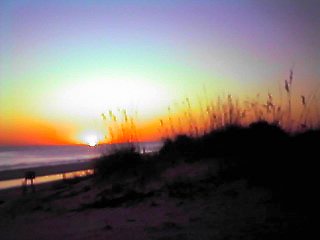 Sunset with sea oats