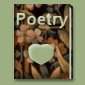 poetry book