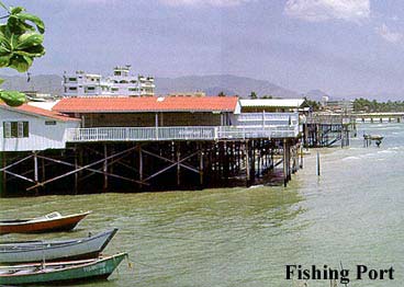 Fishing Port