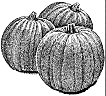 PUMPKIN2.gif