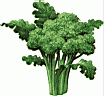 BROCCOLI.gif