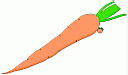 CARROT.gif