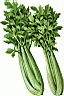 CELERY2.gif