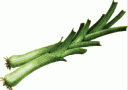 LEEK01.gif