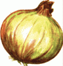 ONION01.gif