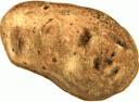 POTATO.gif