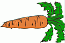 carrot1.gif