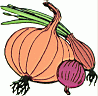 onions1.gif