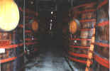 Must fermentation casks at Sebastiani