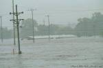 Toward the horse barn