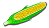 corncob.gif (3184 bytes)