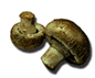 mushrooms.gif (3951 bytes)