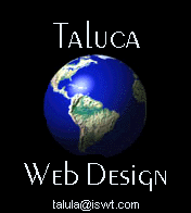 Taluca Web Design.  Let us introduce you to the world!