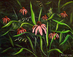 Coneflowers 2000