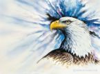 running_eagle_3.html