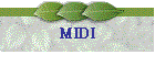 MIDI